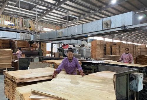 广西象州三江口森林工业城多家木业家具企业开工复产